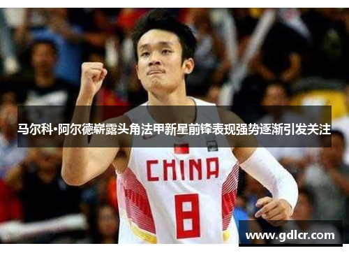 马尔科·阿尔德崭露头角法甲新星前锋表现强势逐渐引发关注