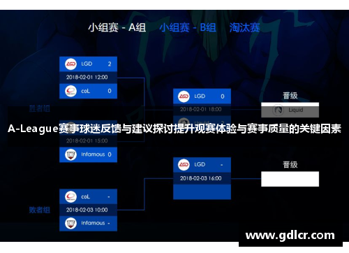 A-League赛事球迷反馈与建议探讨提升观赛体验与赛事质量的关键因素