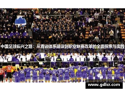 中国足球振兴之路：从青训体系建设到职业联赛改革的全面探索与实践