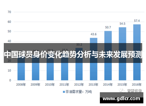 中国球员身价变化趋势分析与未来发展预测