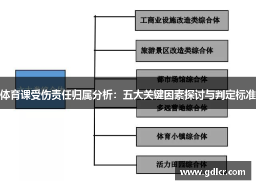 体育课受伤责任归属分析：五大关键因素探讨与判定标准