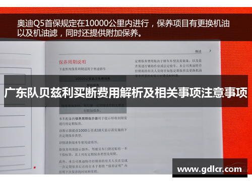 广东队贝兹利买断费用解析及相关事项注意事项