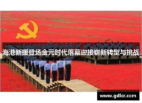 海港新援登场金元时代落幕迎接崭新转型与挑战