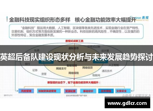 英超后备队建设现状分析与未来发展趋势探讨