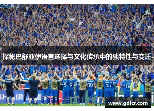 探秘巴舒亚伊语言选择与文化传承中的独特性与变迁